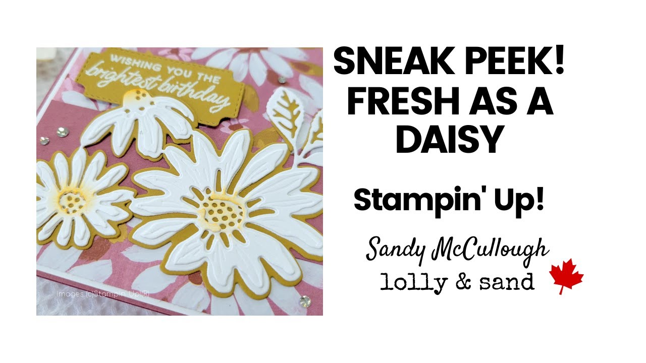 NEW PRODUCT SNEAK PEEK | Fresh as a Daisy Suite | Stampin' Up!