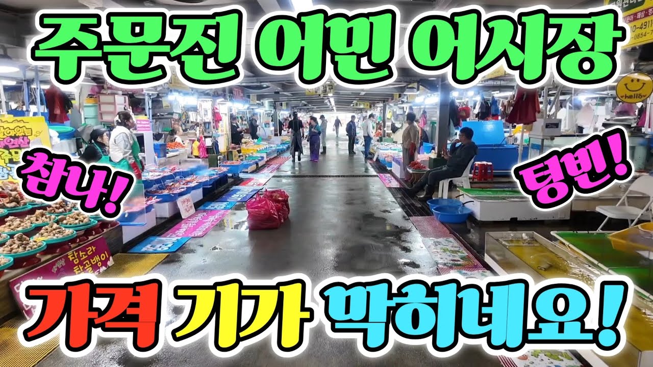 주문진 어민 어시장 대체 여길 왜갈까? 평일 대낮일찍 가면! 진짜 이렇게 준다고? 최신 정보 공개! Korean fish market channel 