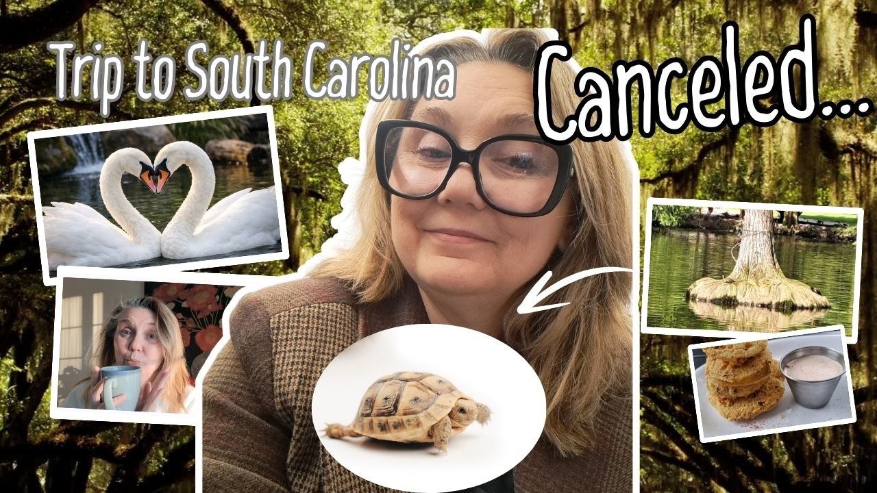 My Trip Was Cancelled… So I Reflected on a Quiet Moment in Nature | Slow Living & Self-Care Vlog