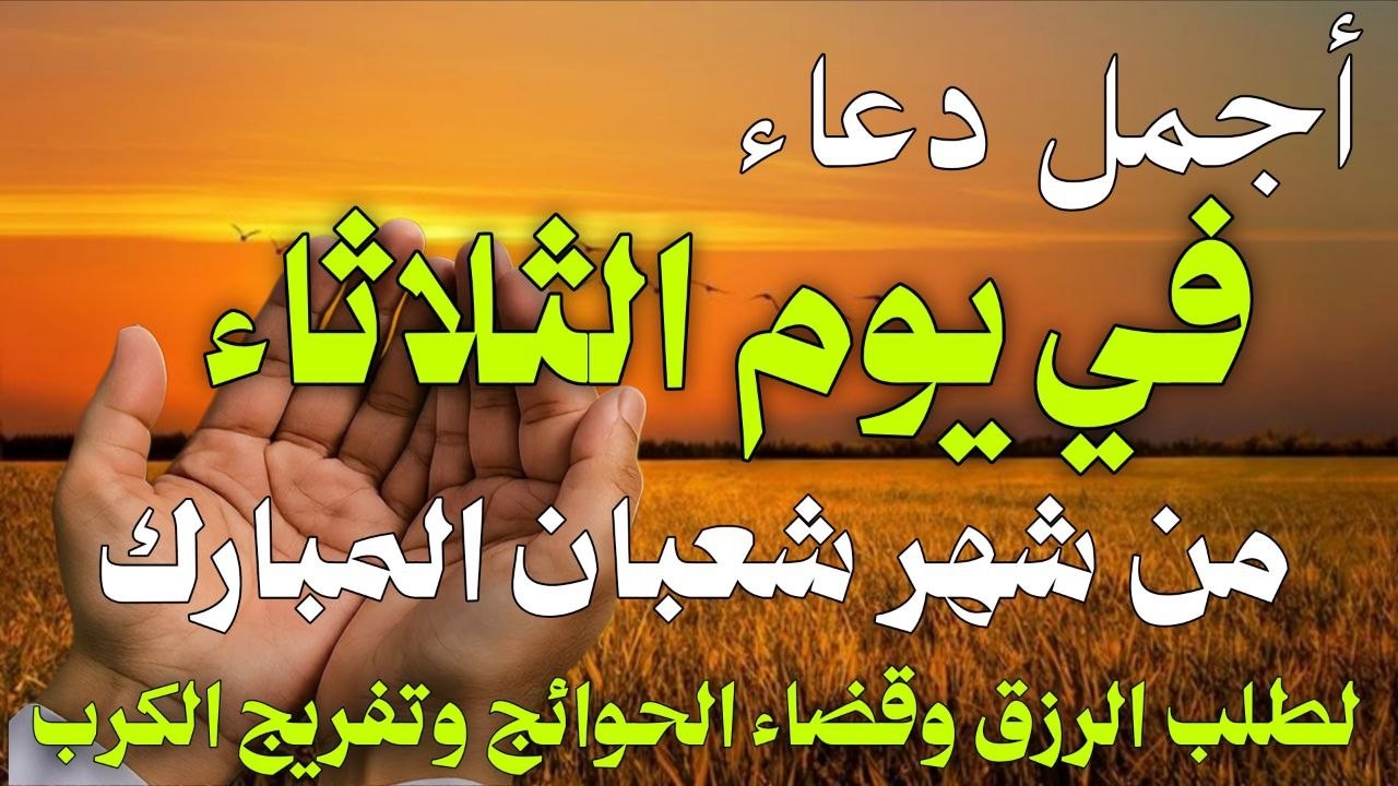 دعاء فى صباح يوم الثلاثاء 15 من شهر شعبان لطلب الرزق والفرج وقضاء الحوائج وتفريج الهم بإذن الله 💚