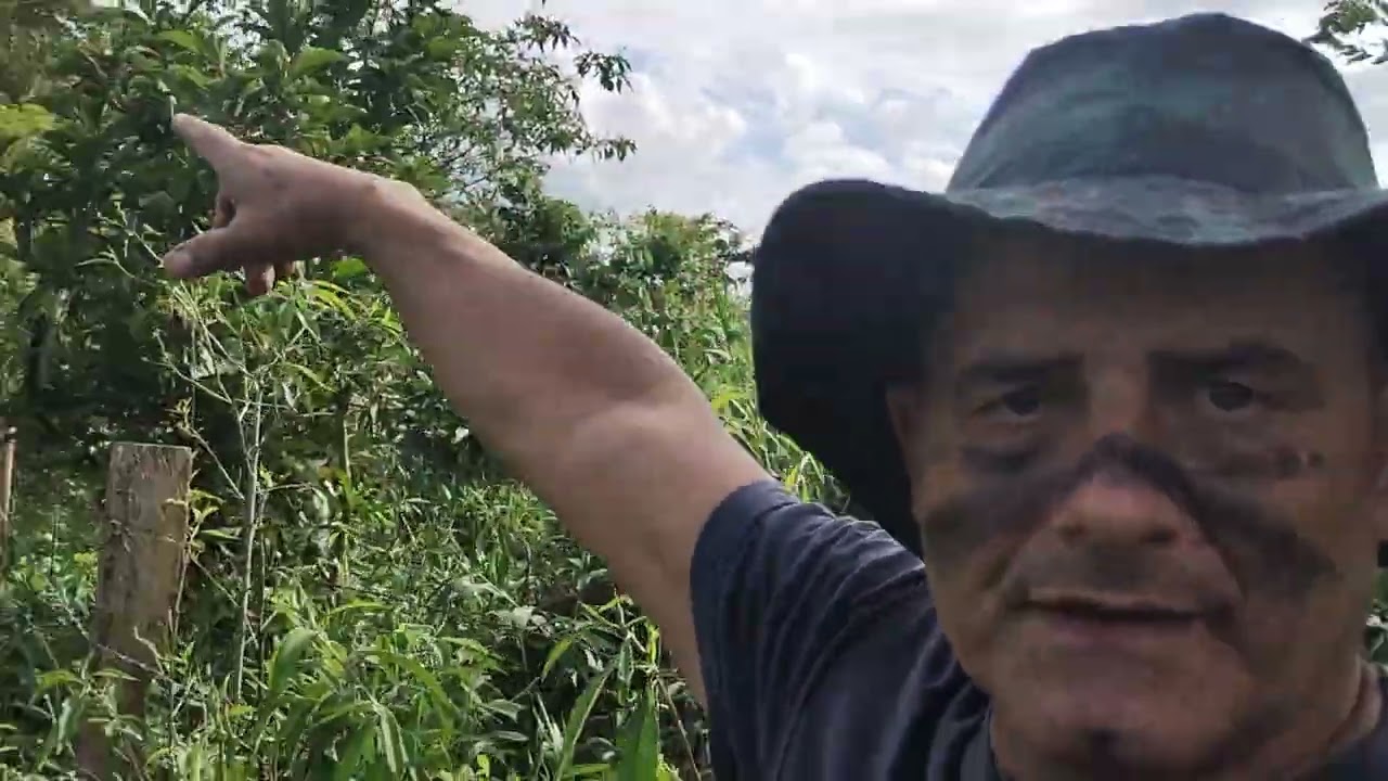 A última caçada,parte 2.