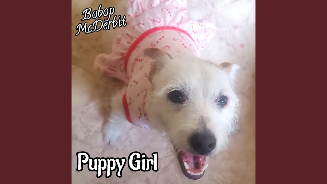 Little Dog Theme Song [Country Western]