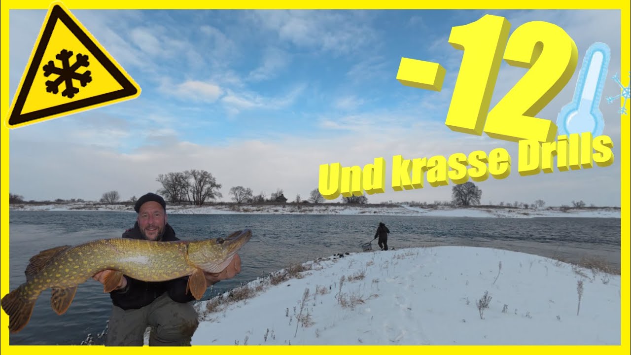 Angeln im Winter am Fluss auf Raubfisch | Eisige Strömung & die letzten offenen Stellen