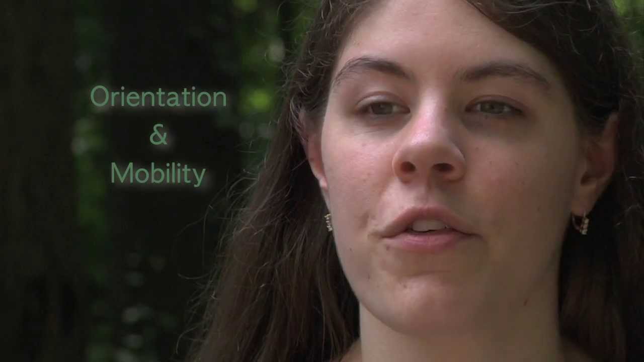 Delta Gamma Center, Early Intervention Program