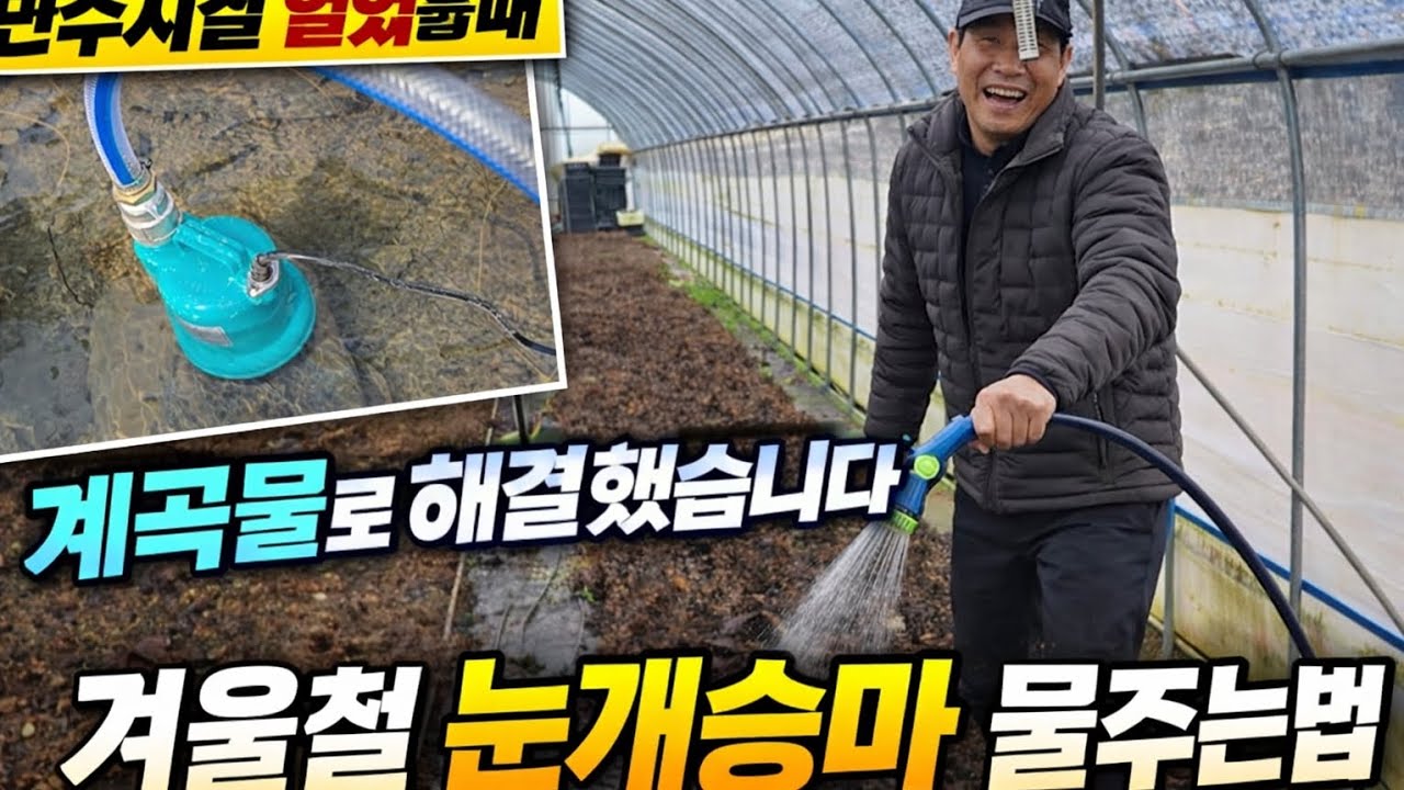 관수시설 얼었을 때｜수중모터로 계곡물 끌어와 하우스 물주기 성공!
