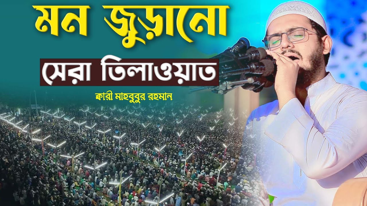 মন জুড়ানো সেরা তিলাওয়াত | ক্বারী মাহবুবুর রহমান |  Recitation of the new Quran is refreshing