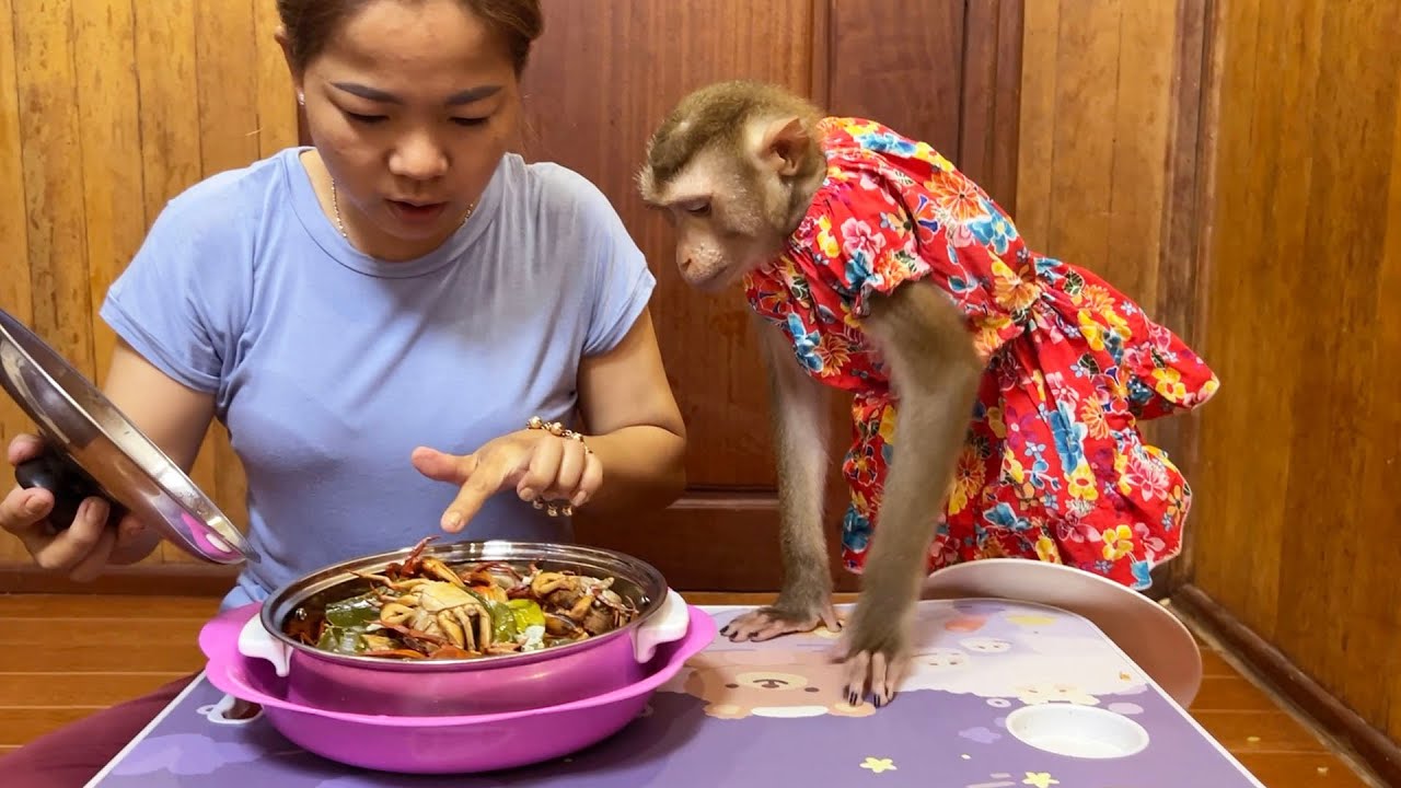 Judee Get Amused With The New Spicy Crab Mom’s Secret Recipe