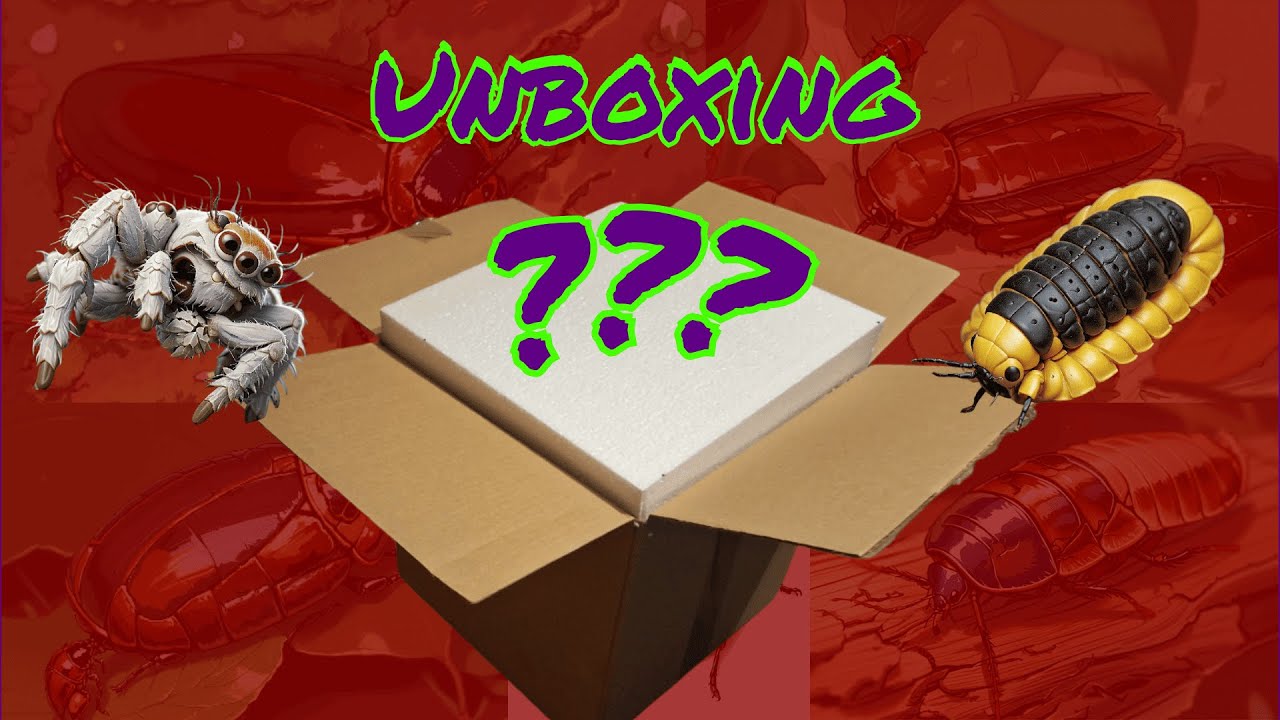 First Creepy Creature Unboxing of the Year 2026!