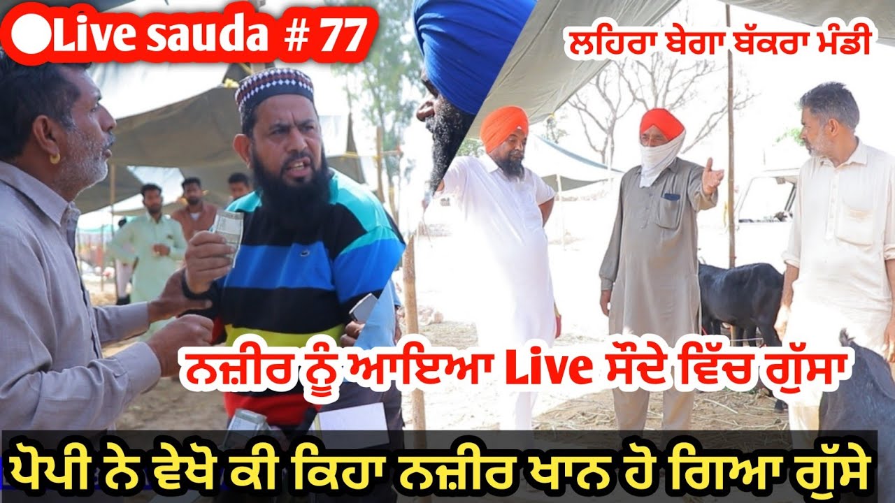 नजीर खान को सौदे में आया गुस्सा - Lehrabega Bakra Mandi Live sauda @ILTILANATV