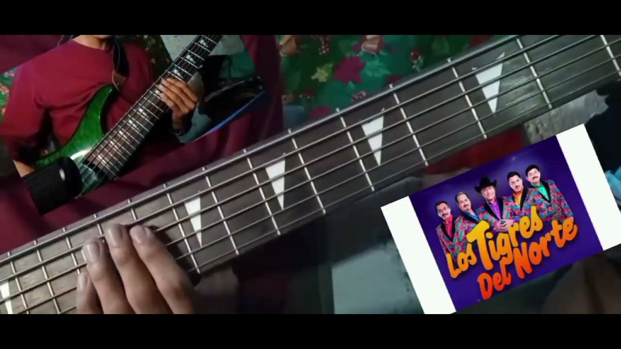 Ni parientes somos- Cover bajo eléctrico bass, tigres del norte