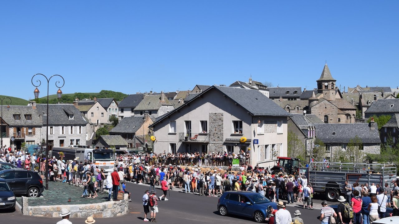 La transhumance à Nasbinals, Malige c'est magique
