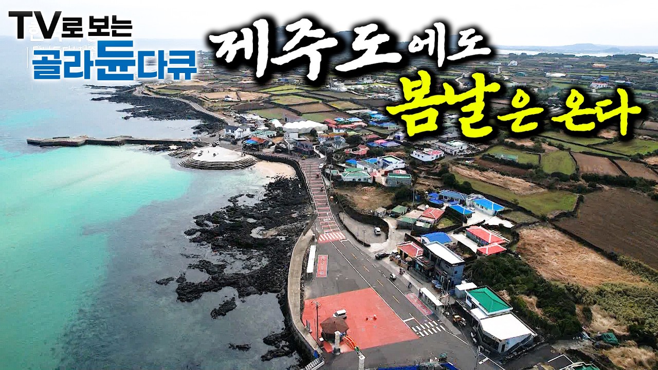 🌸 겨울도 다 갔수다. 드디어 봄이 왔수다 🌸봄 참 잘 즐기는 제주도 사람들 1시간 몰아보기｜힐링 다큐 ｜한국기행｜#tv로보는골라듄다큐