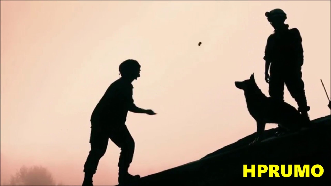 Swiss Armed Forces ⛑ Mix 2 of 2 (Tribute & Motivation Video For Our Soldiers) in HD