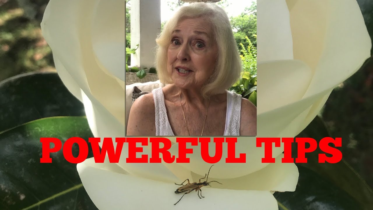 3 POWERFUL DAILY STEPS TO A BETTER LIFE | CREATE YOUR DAY TODAY