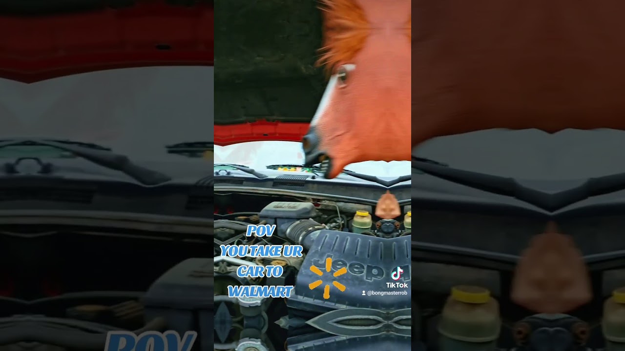 #fyp