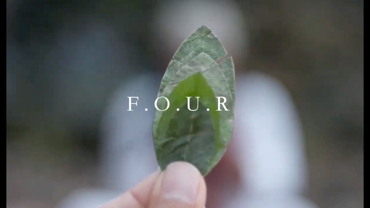 F.O.U.R der Dokumentarfilm Trailer | Die Enthüllung der alten Weisheit der vier Richtungen