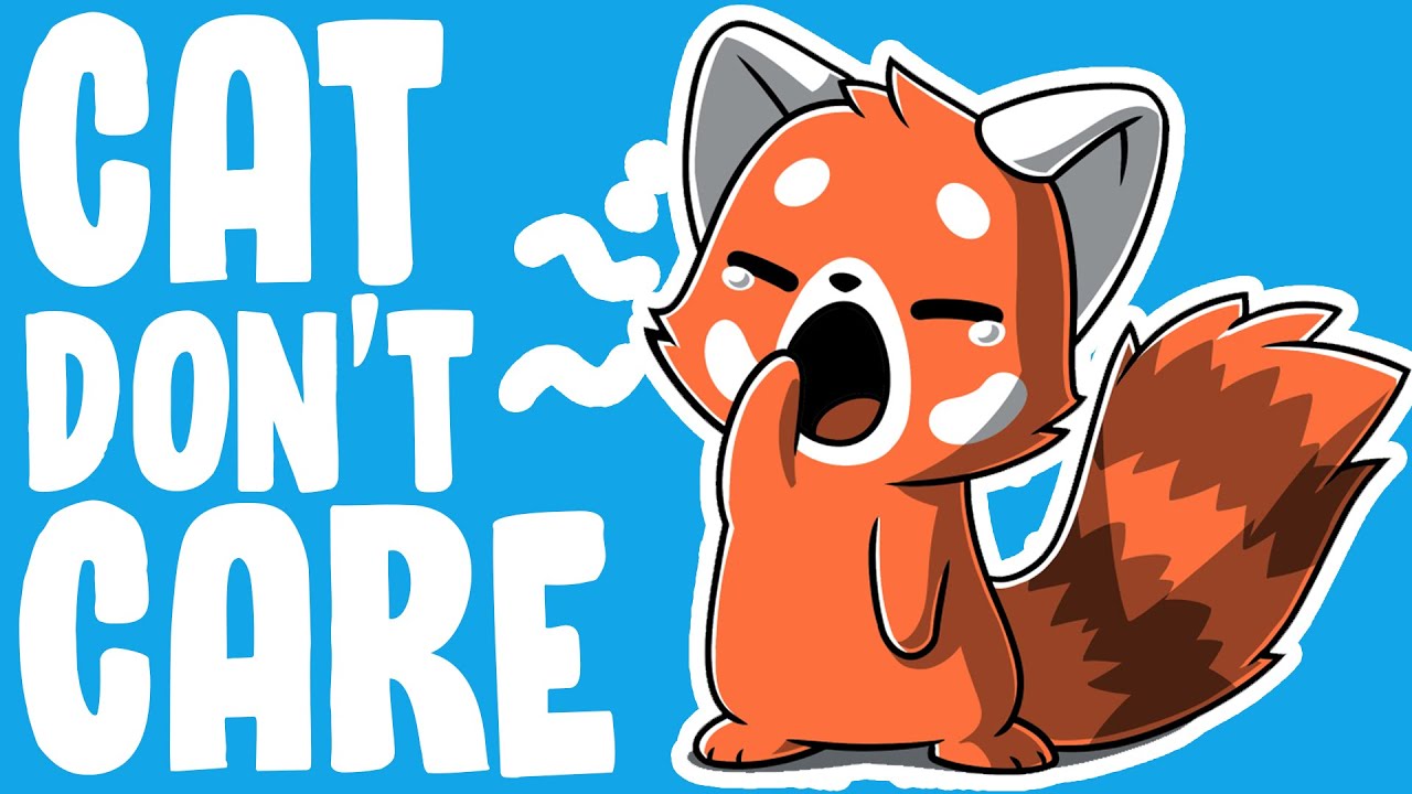 What Cats Teach Us About Happiness | A Cat's Philosophy | The.B