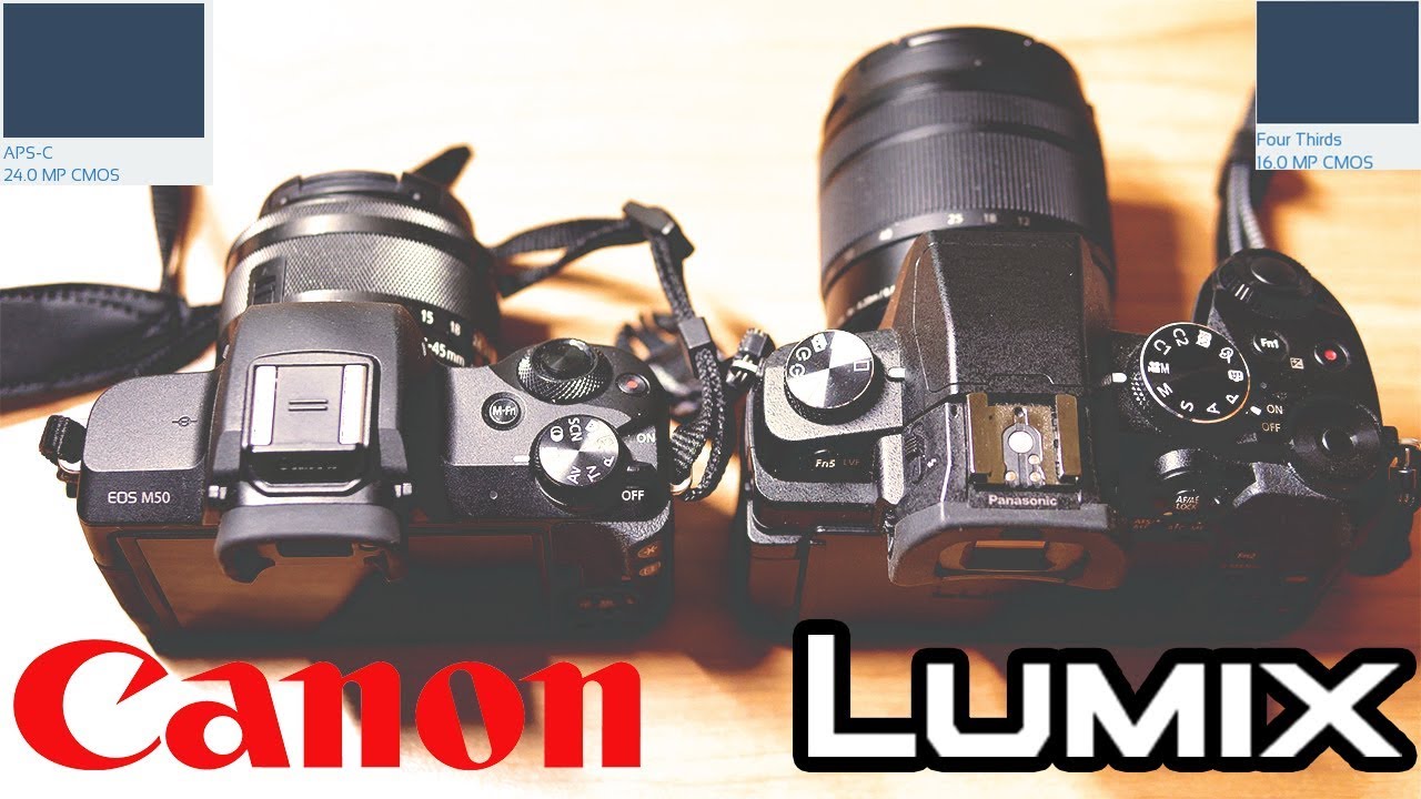 Mirrorless APS-C vs Mirrorless micro 4/3 - Canon EOS M50 vs LUMIX G80