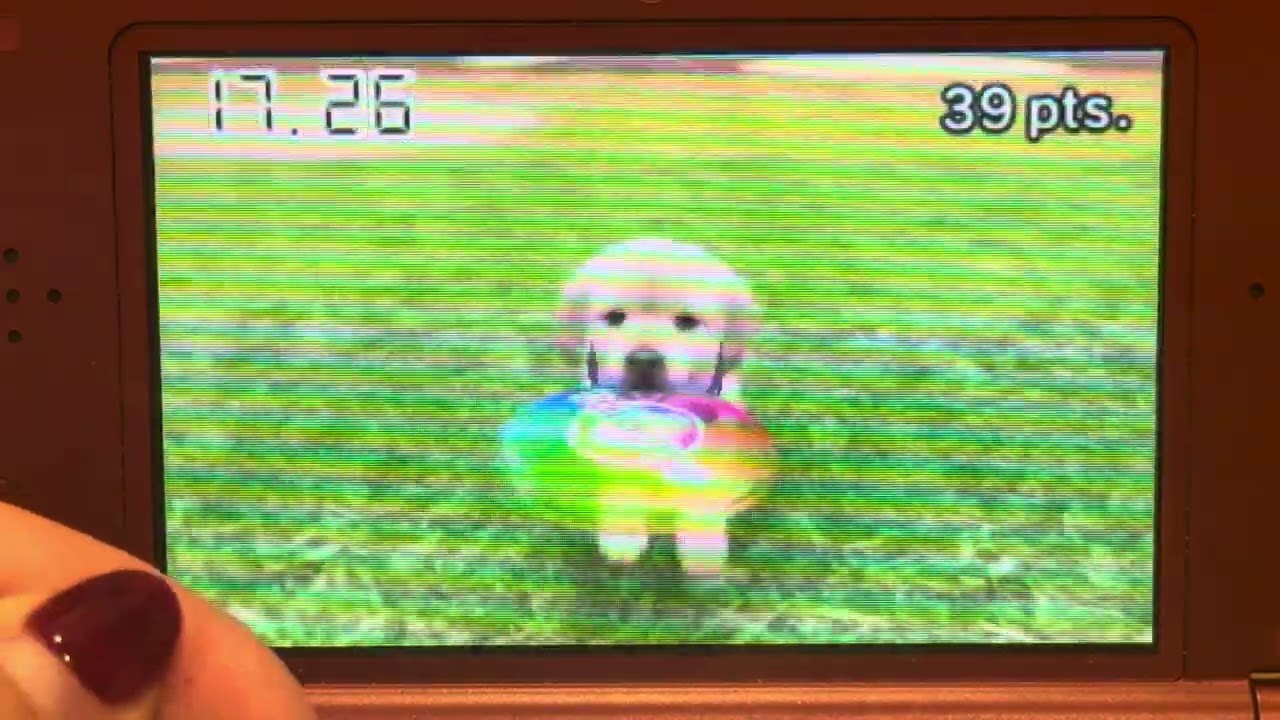 Nintendogs + Cats GRv#4: Lewis in Disc Competition Nintendogs Cup