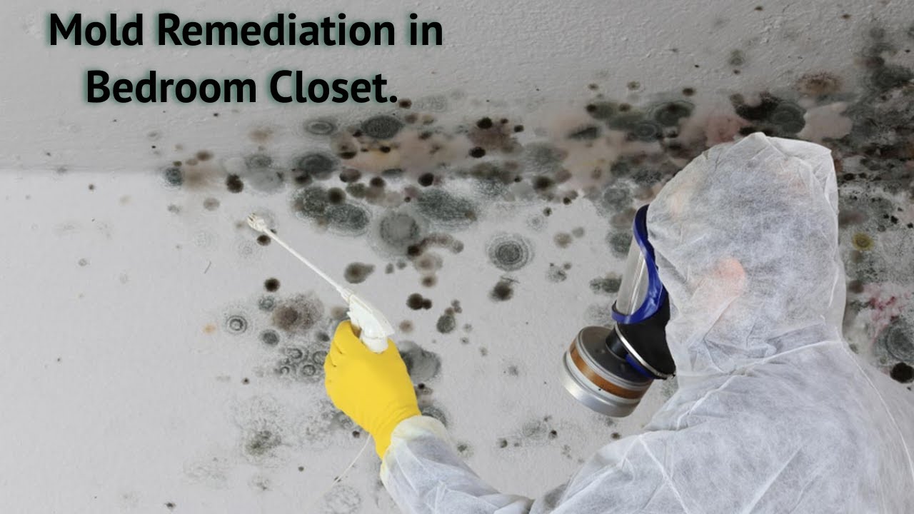 Bedroom Closet Mold Remediation Service in Berkeley California - Water and Mold Damage Remediation