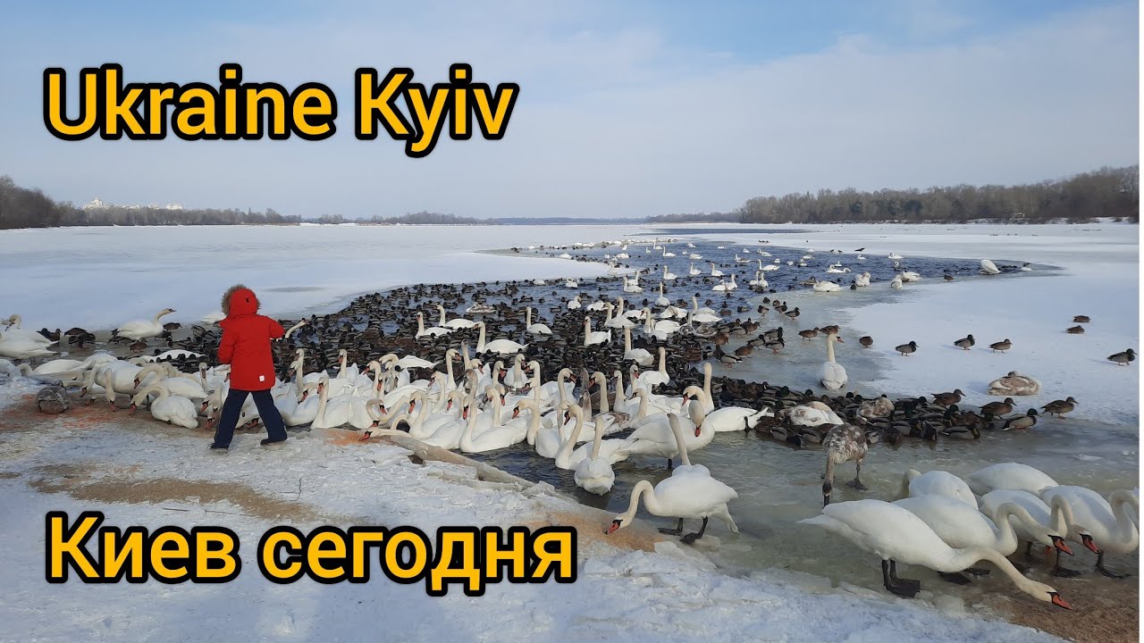 🇺🇦 Ukraine Kyiv 2026 Оболонь.Что происходит в парке Наталка.