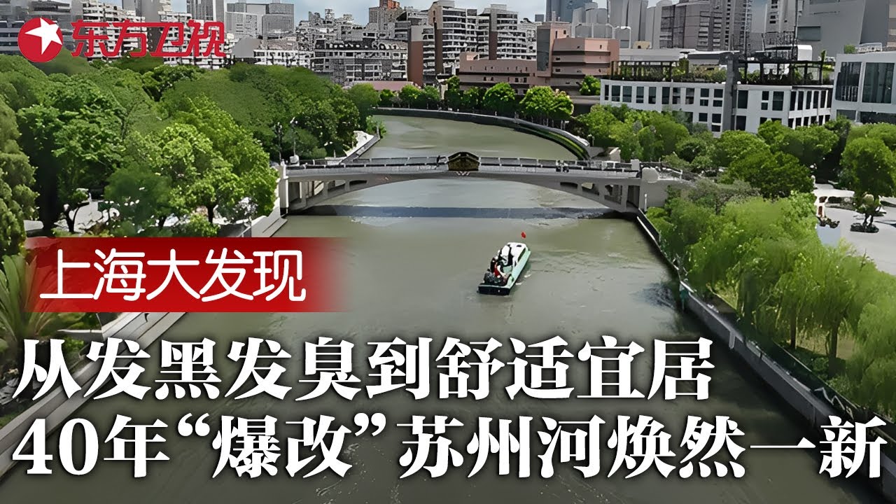 40年巨变! 曾经发黑发臭的苏州河, 如今成最宜居的城市风景线, 背后故事令人动容 #上海大发现 EP03 FULL