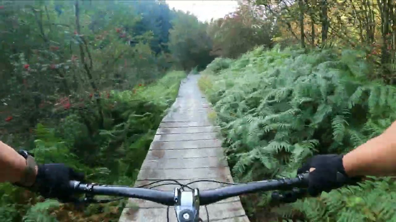 MTB in Coed Llandegla, Wales (Red Route)