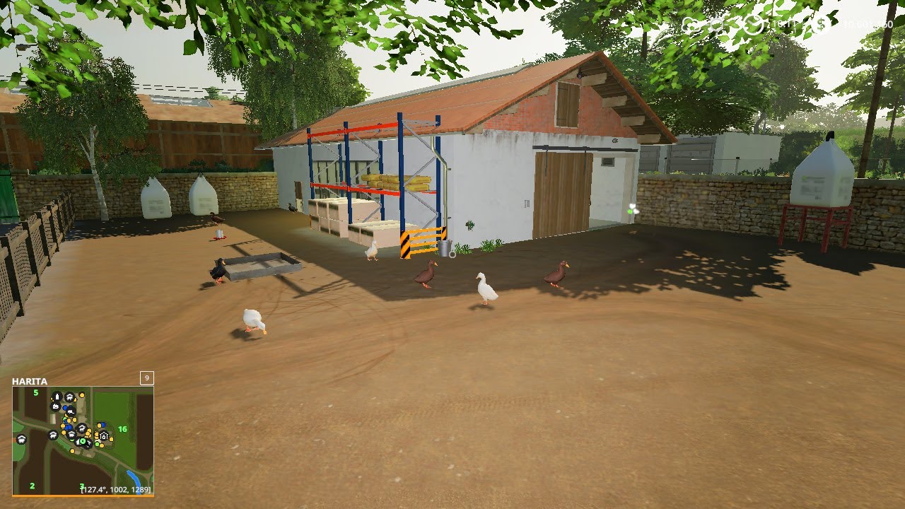 FS19 | Köpek alımı,Ördek alımı ve kuluçkadan civciv satışı - 1 | Map Hof Bergmann 1.0.0.8 Türkçe