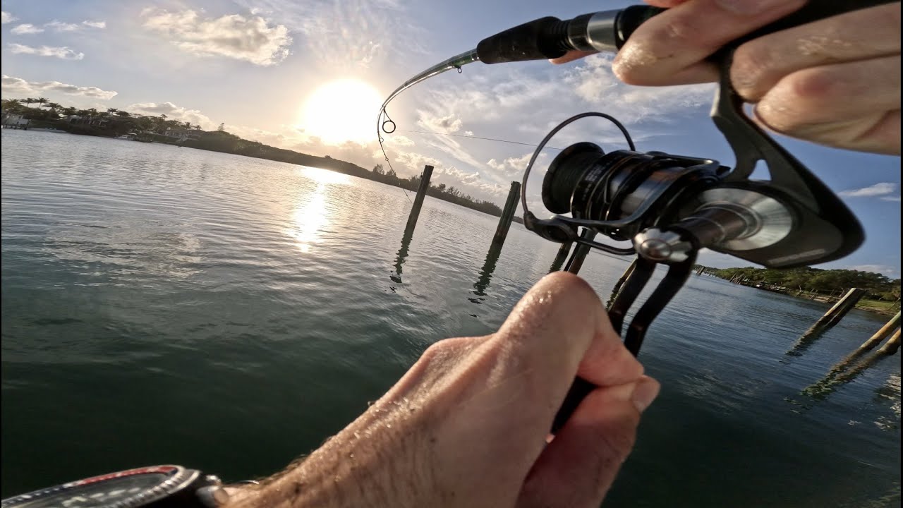 Snook, Snapper, & Grouper Fishing Jupiter Florida