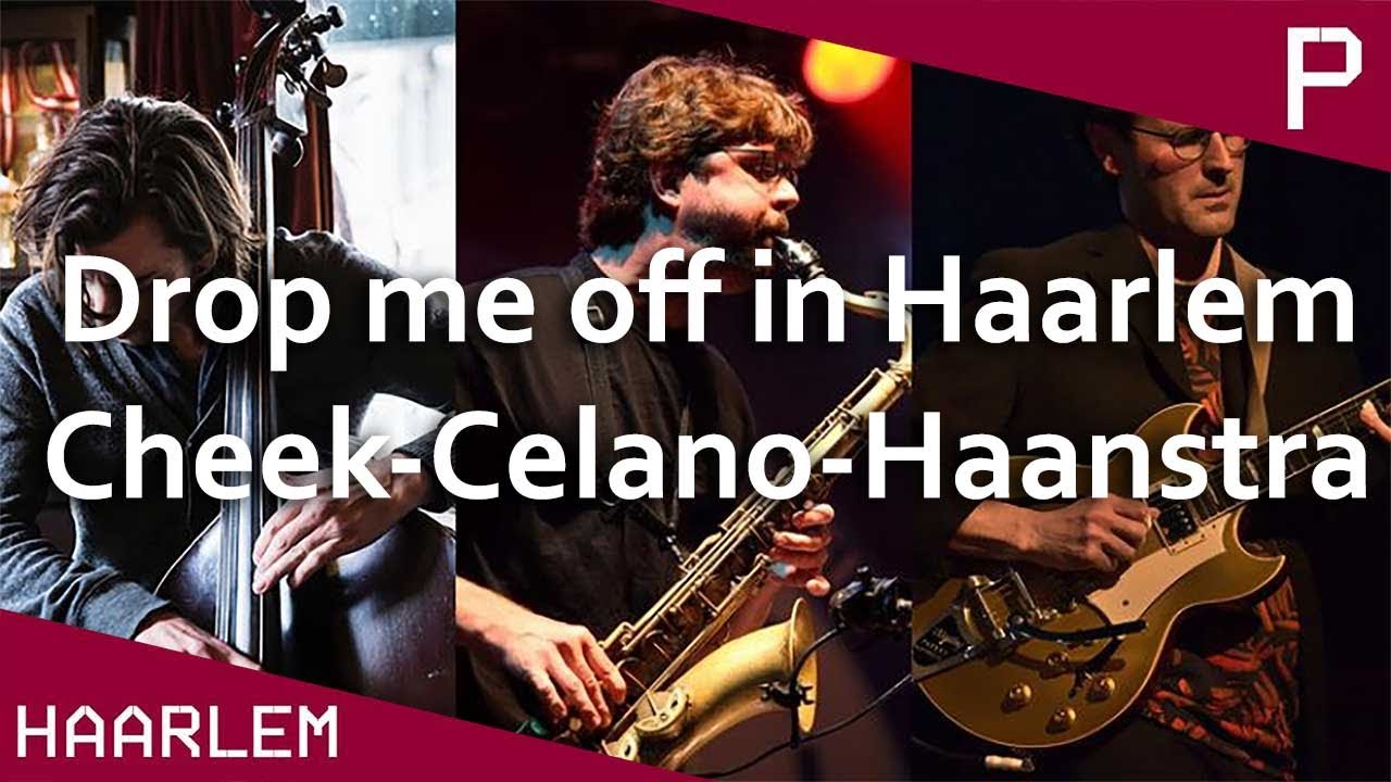 Drop me off in Haarlem: Cheek-Celano-Haanstra - Pletterij Concert