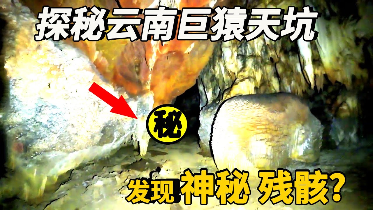 小夥探秘雲南巨猿天坑，200米懸崖深處發現神秘頭蓋骨，接下來一幕嚇出心臟病！