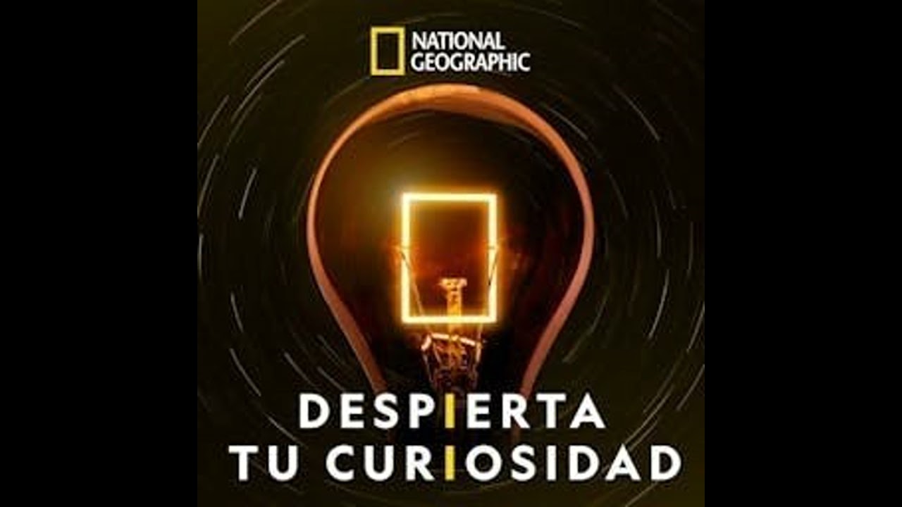 Luis Alberto Pardo Villalón, el chileno que rescató a Shackleton