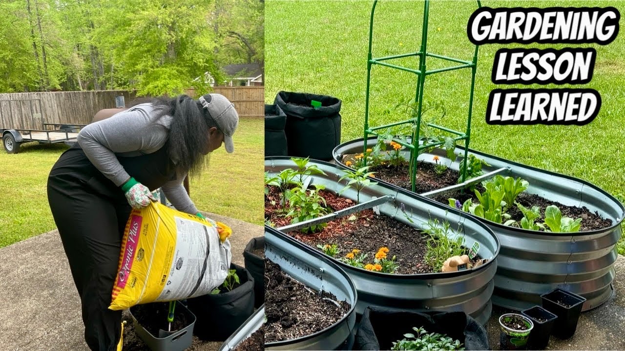 Things I've Learned As A Beginner Gardener | What Not To Do When Planting Sweet Potato Slips