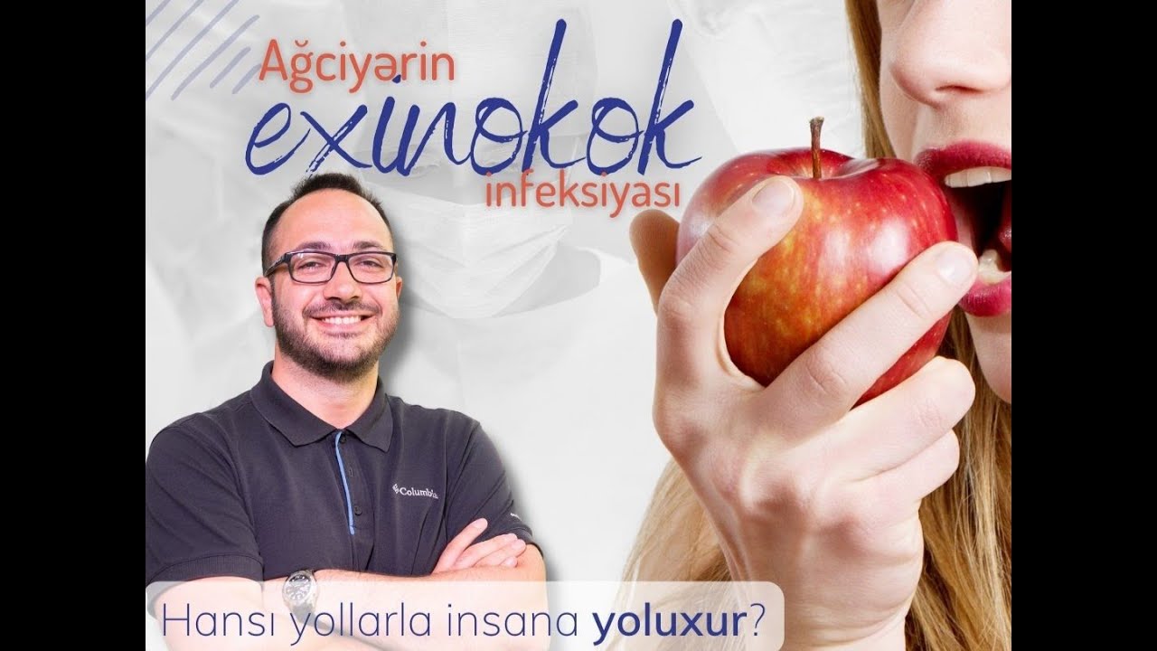 Ağciyərin Exinokokk Kistası (Parazit Kistası- Ağciyər Qurdu)