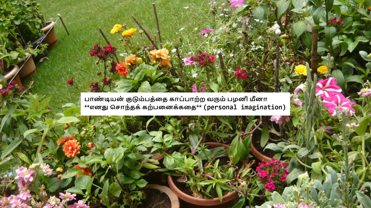 பாண்டியன் குடும்பத்தை காப்பாற்ற வரும் பழனி மீனா **எனது சொந்தக் கற்பனைக்கதை** (personal imagination)
