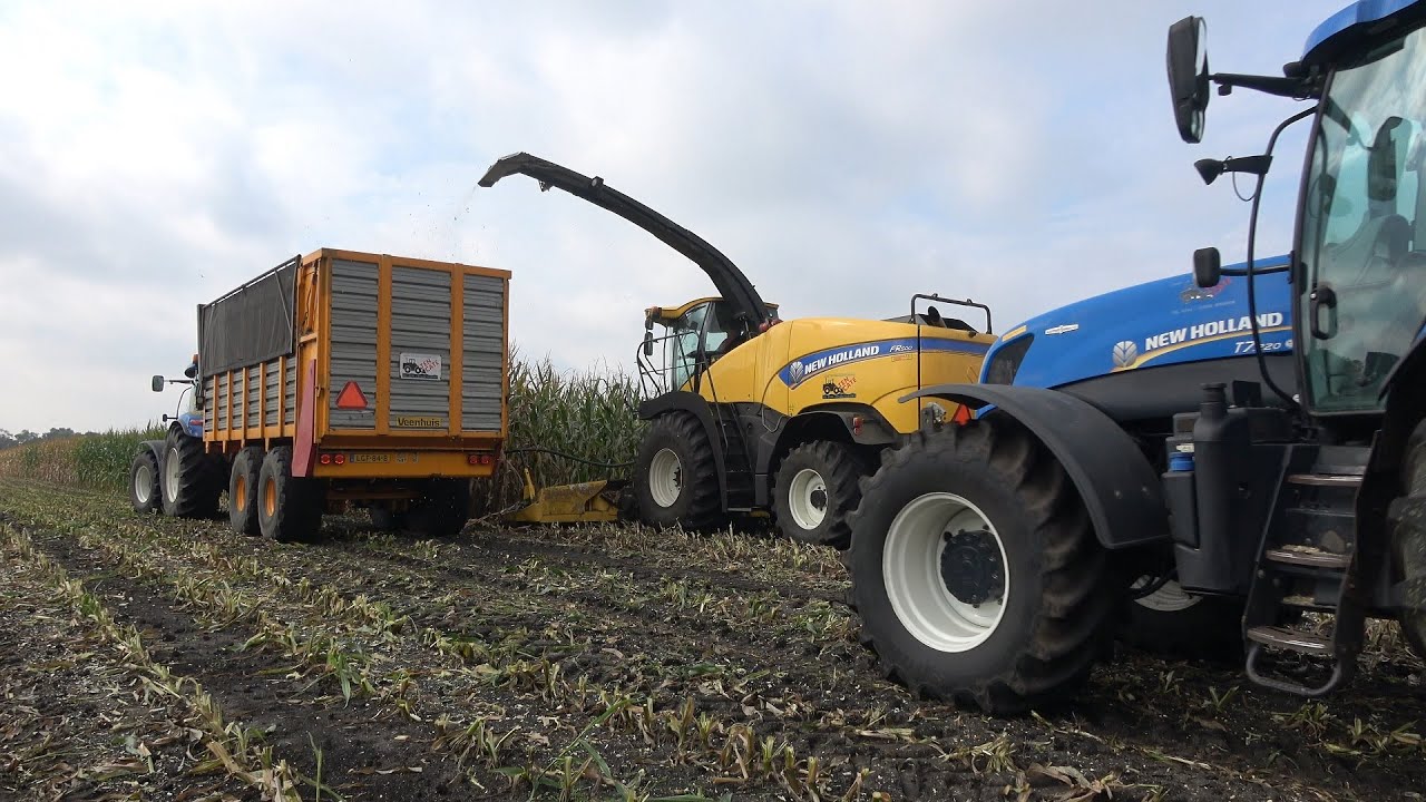 Mais hakselen door loonbedrijf ten Cate met New Holland FR500 hakselaar en 2 T7 trekkers (2022)