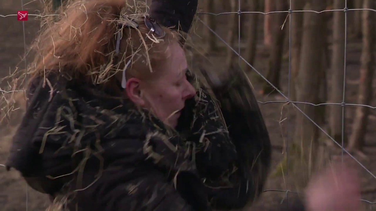 Lelystad - Demonstranten gooien hooi over hek Oostvaardersplassen