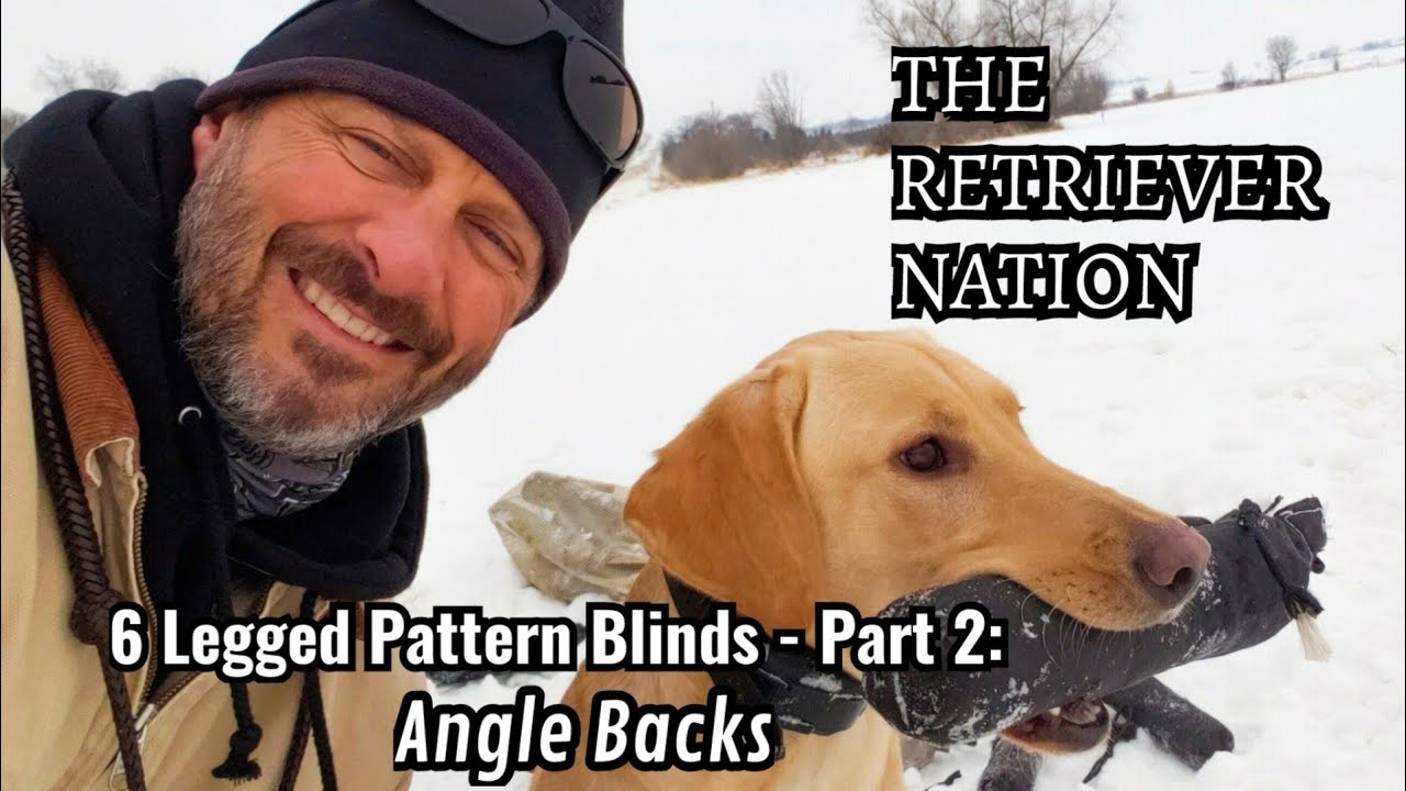 Part 2~Six Legged Pattern Blinds ~Angle Backs~Teaching Young Dogs to Take Angle Backs with Momentum