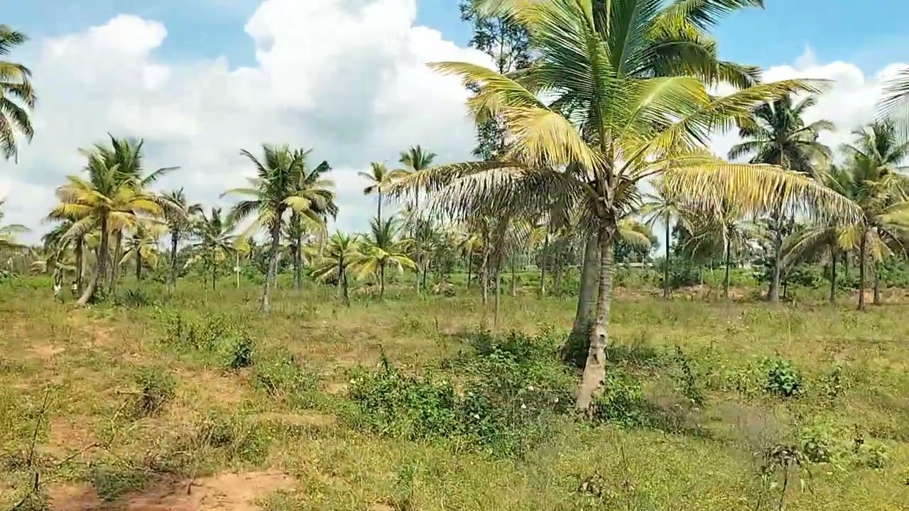 58 gunt commercial land for sale ph 8971607967.