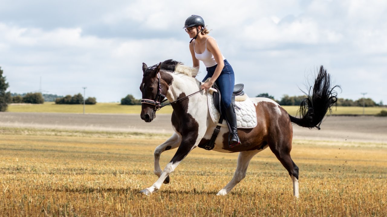 Ausmessen für den Equigurt® von Equimero®