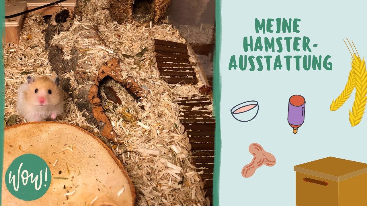 Meine Hamster-Ausstattung XXL | Futterparadies Unboxing | Kleintier Vlog :)