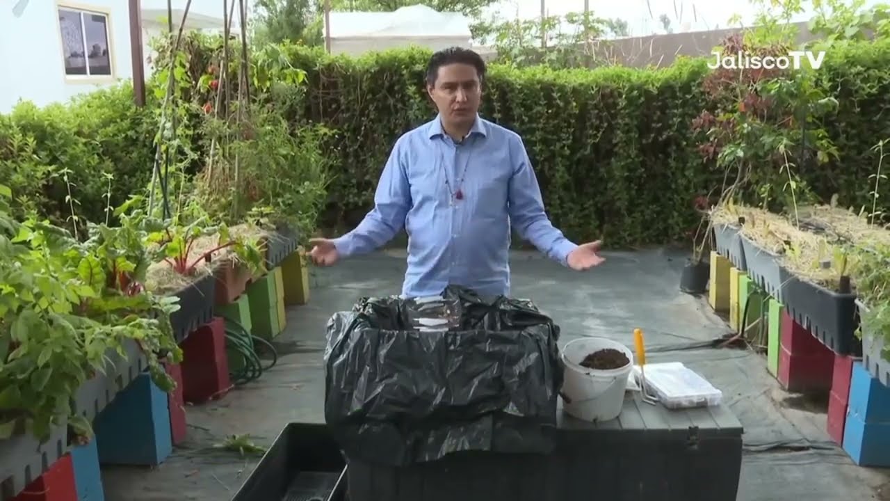 &iquest;Qu&eacute; es un Huerto Urbano? Descubre C&oacute;mo Cultivar en la Ciudad y Ser Parte de la Revoluci&oacute;n Verde