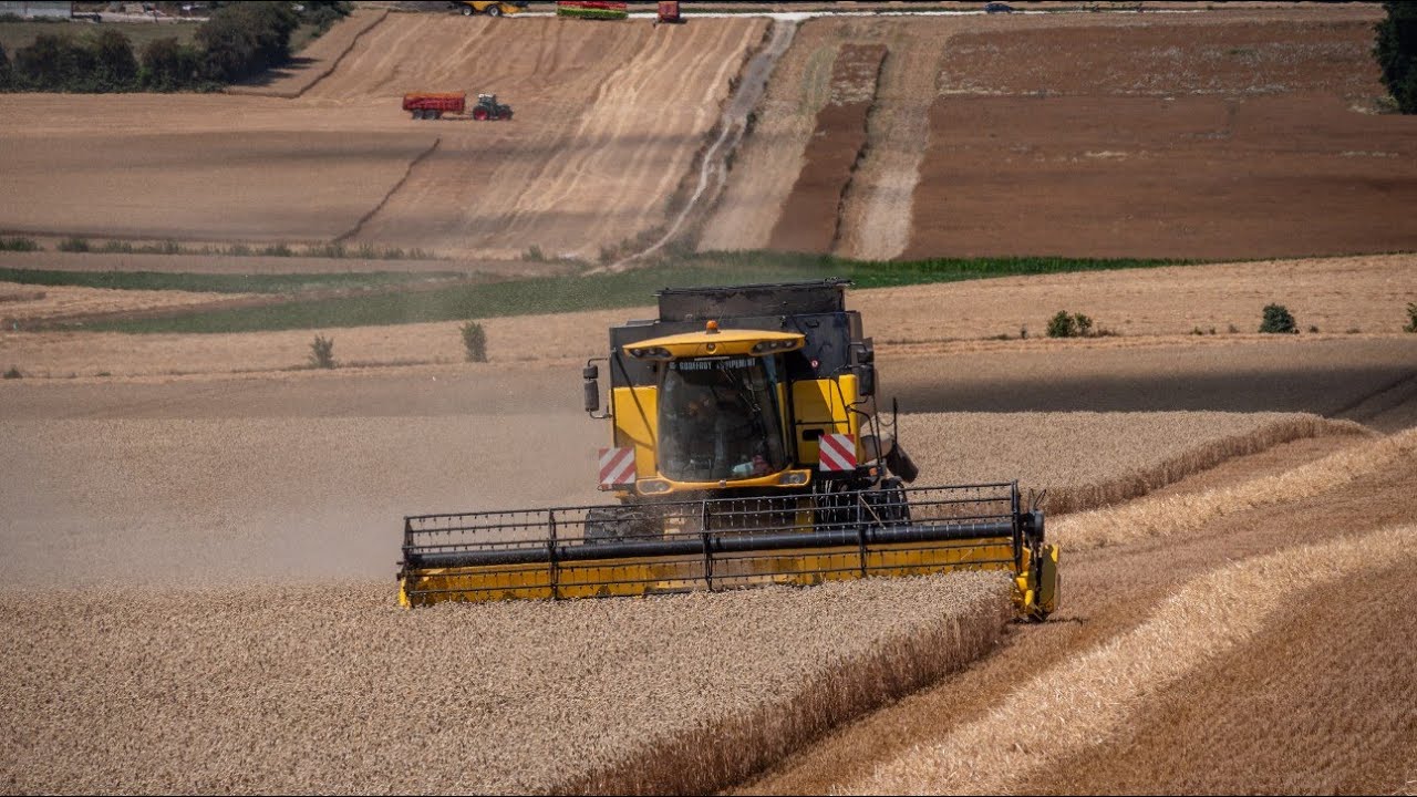 Moisson 2020 -New Holland CSX 7080 +TX 34 - Ferme de l'Epinoy