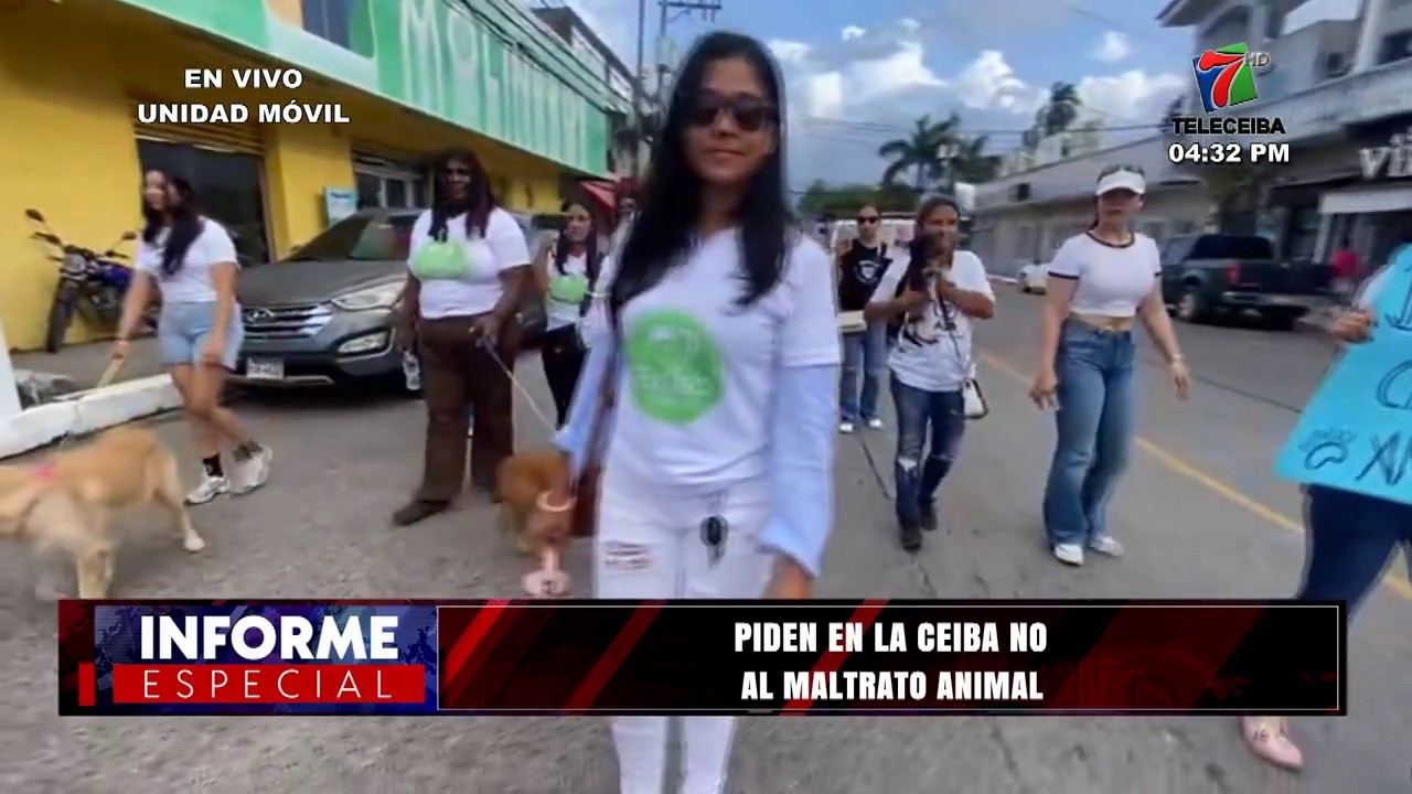 Piden en La Ceiba no al maltrato animal
