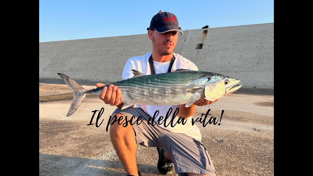 Il pesce della vita! palamita di 5kg | The fish of the life! bonito of 5kg! #shorejigging
