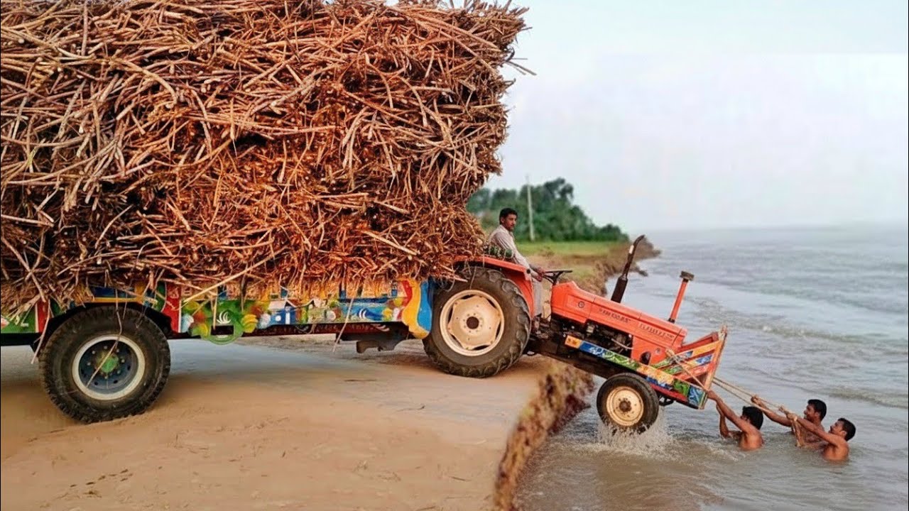 alghazi tractor power stunts | mf 385 tractor live fails | sugarcane trolley vs higher voltage 