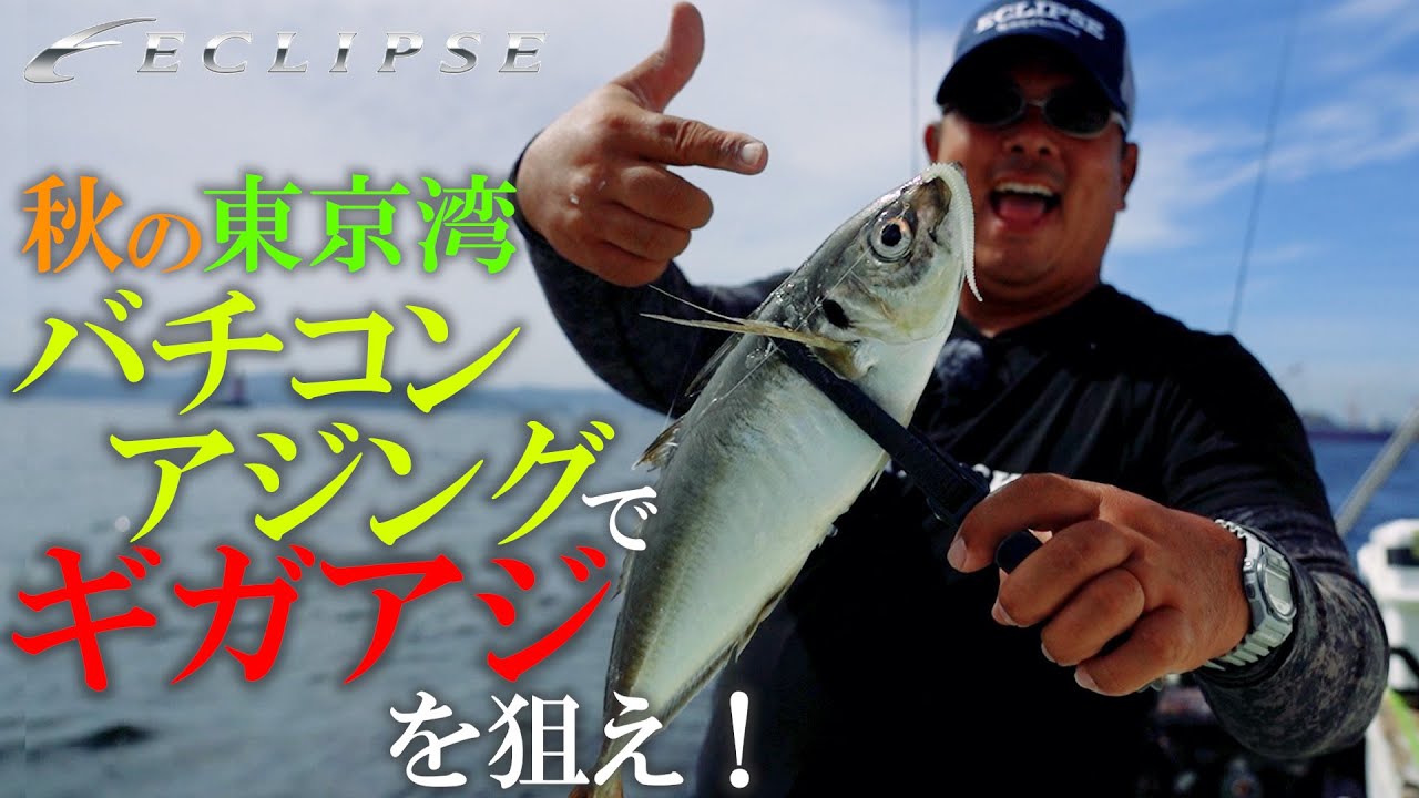【ECLIPSEバチコン】　秋の東京湾　バチコンアジングでギガアジを狙え！