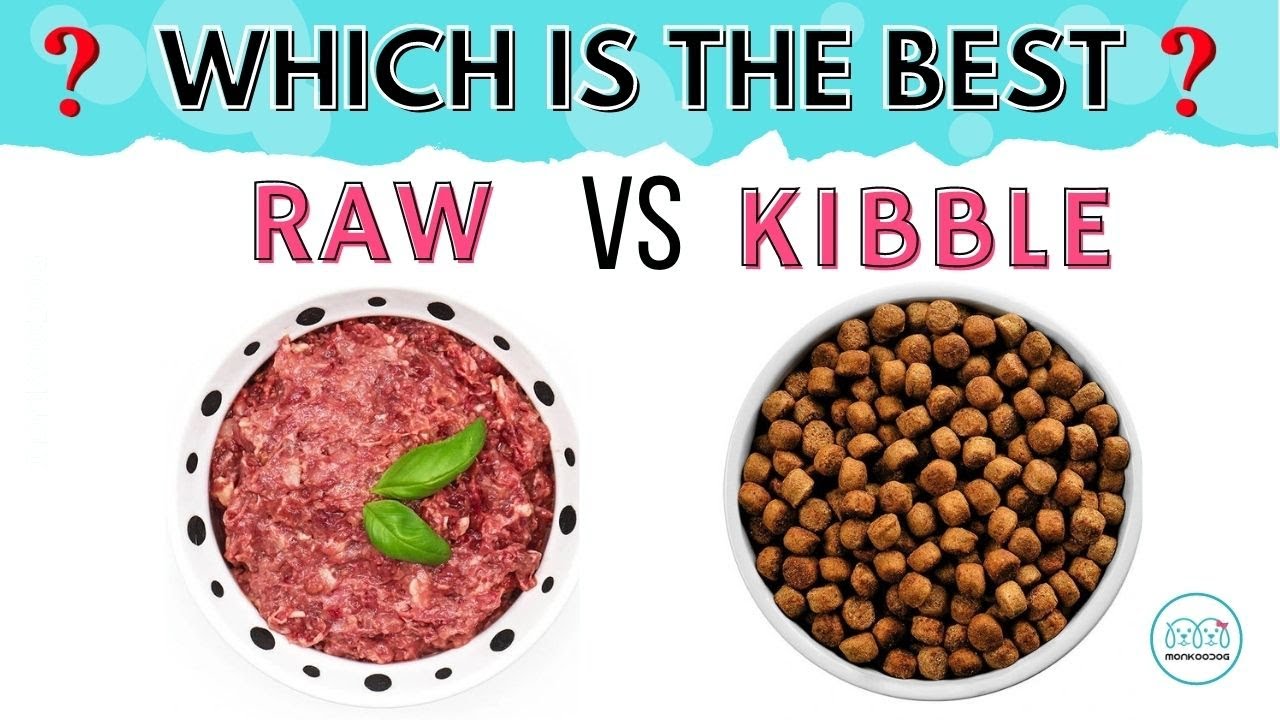 Raw vs Kibble Dog Food. Which is better? Explained with Pros & Cons of feeding. || Monkoodog