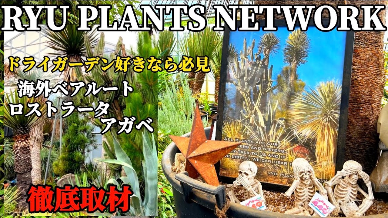 【RYU PLANTS NETWORK】徹底取材SP!!ドライガーデンの全てが詰まったハウスと植物愛に溢れたRYUさんとの貴重な撮影映像は必見です。