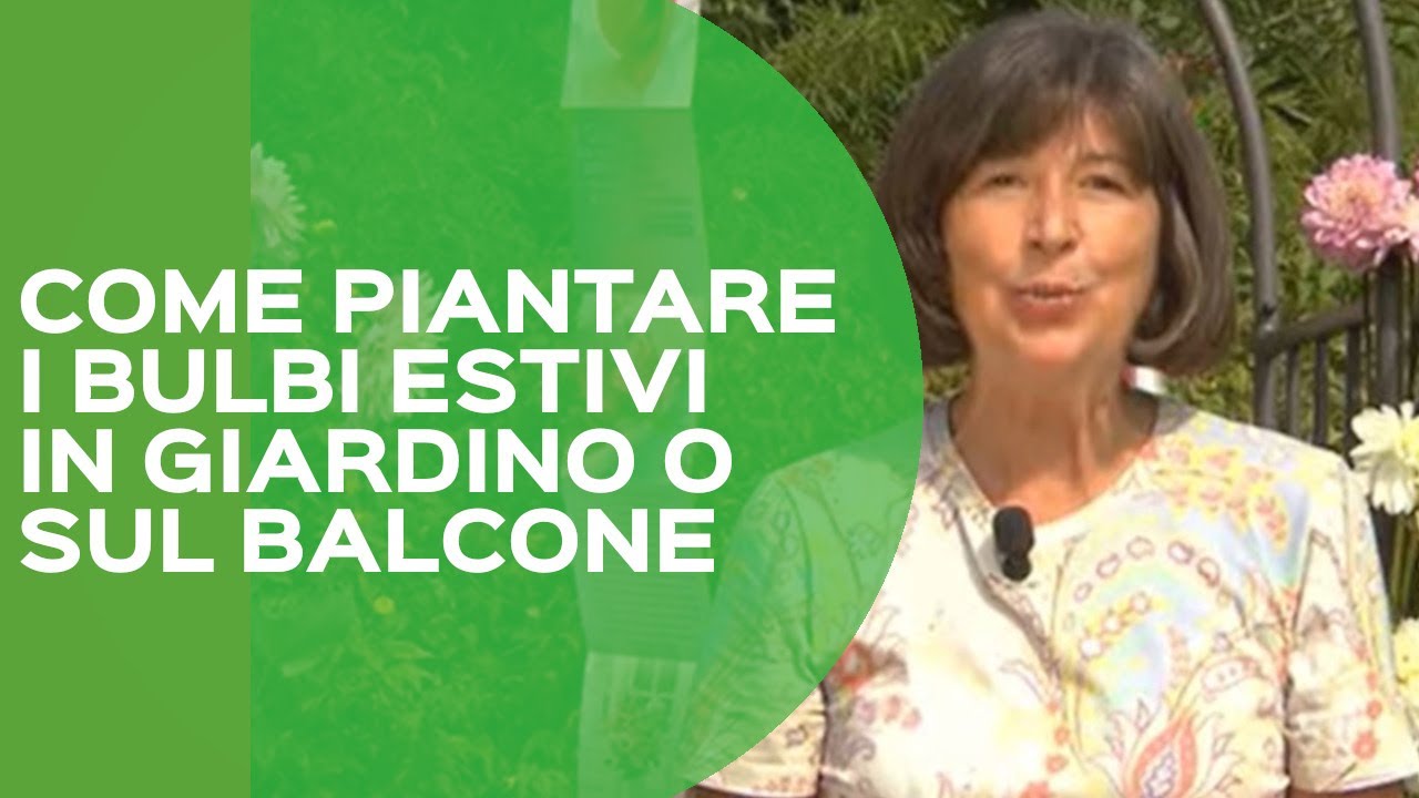 Come piantare i bulbi estivi